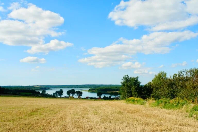 Jezioro Junno otoczone lasem
